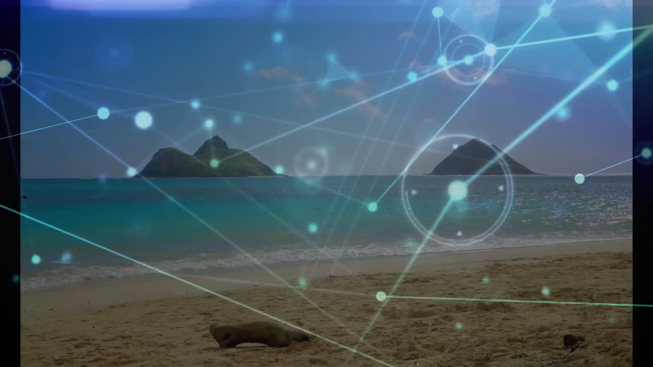 Network of connections and data processing animation over tropical beach scene