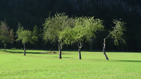 Apple-orchard-in-autumn,-mountains-in-background,-Logarska-dolina,-Slovenia,-pan-left-to-right,-HD