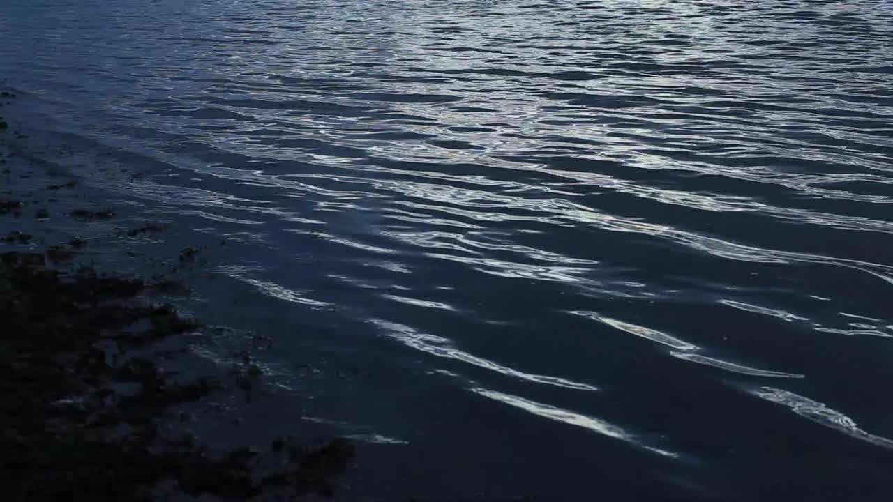 Cool evening blue water in a marine bay on an English coast; sea weed next to a shore lightly swinging; small waves reflect gray autumn light; dark and calm water radiates peace. Sun has set. HD