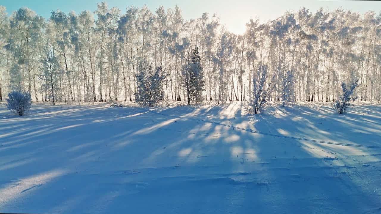 Vinterlandskap med snø og trær