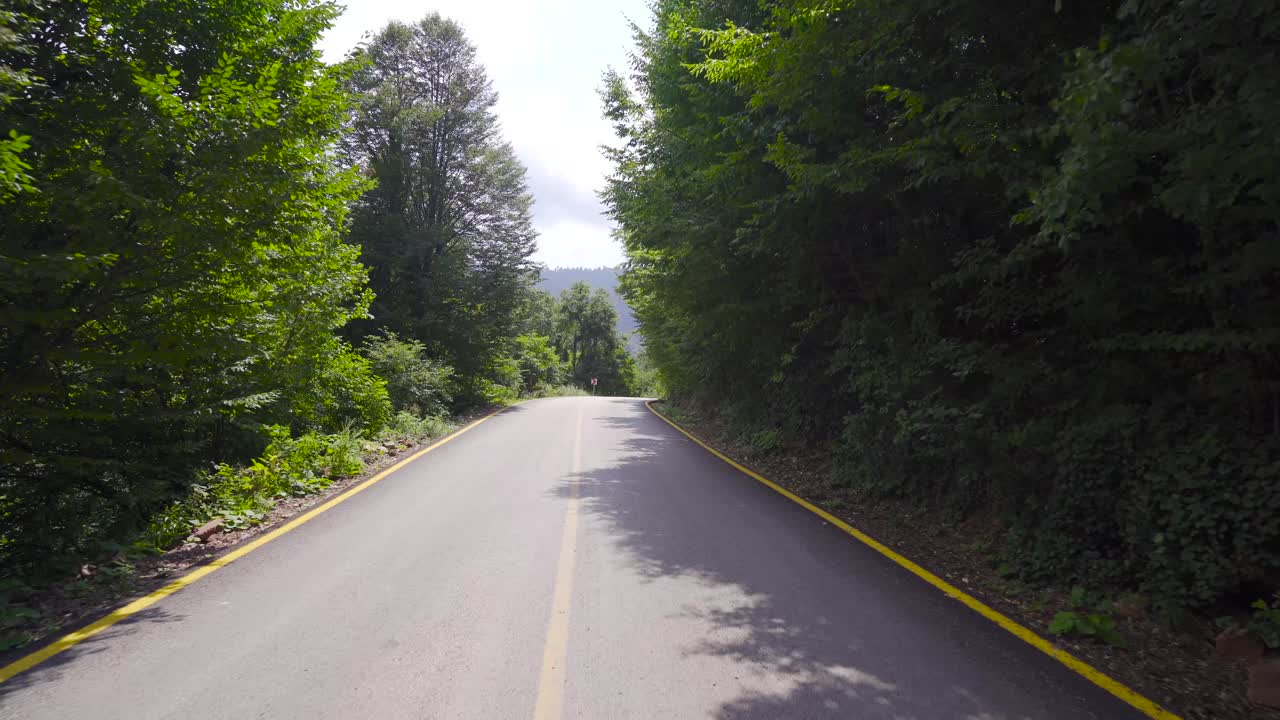 Strada asfaltata, liscia e curva nel bosco. L'auto passa.