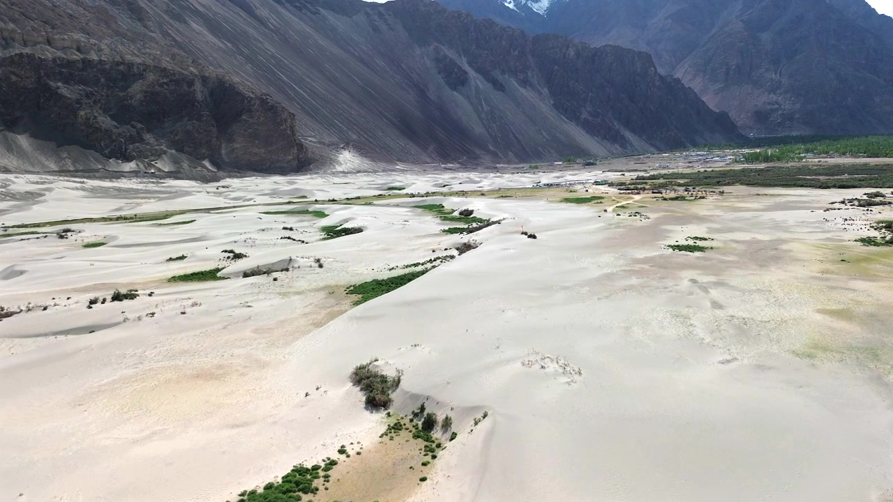 Amplo plano aéreo em arco de grande angular sobrevoando as dunas de areia branca de Hunder, com manchas de vegetação verde e montanhas áridas e imponentes no Vale de Nubra, Ladakh, Índia