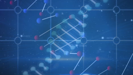 animación de partículas blancas y estructura de adn giratoria sobre una red de cuadrícula contra un fondo azul.