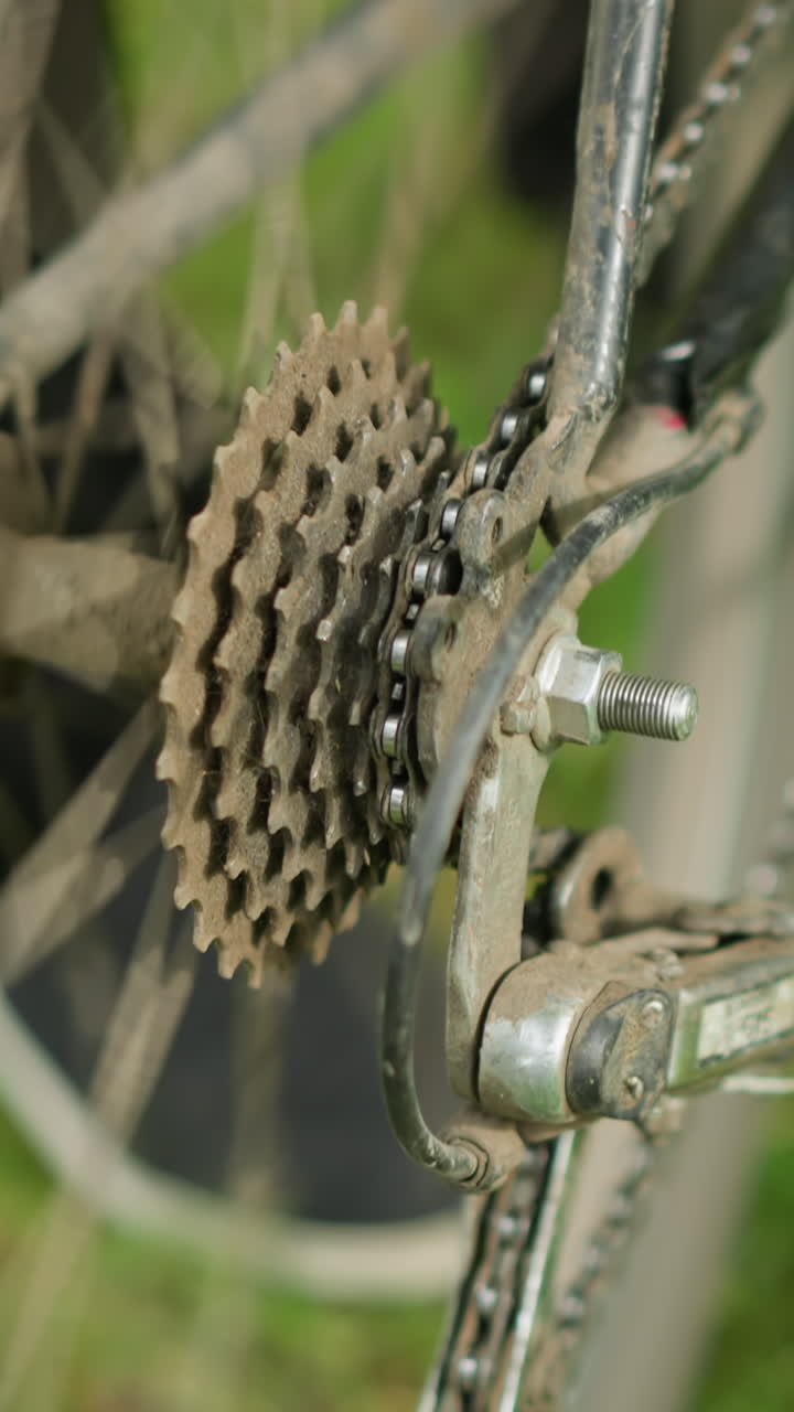 primer plano de una persona de pie junto a una bicicleta estacionada en un campo de hierba, la persona levanta ligeramente el neumático trasero y pedalea brevemente, haciendo que el neumático gire, con un borroso