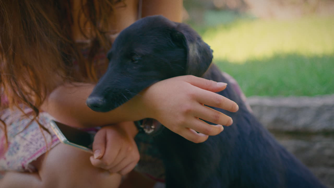 귀여운 검은색 십대 개를  ⁇ 는 느린 동작