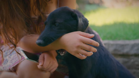 girl-petting-cute-black-adolescent-dog-slow-motion