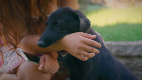 girl petting cute black adolescent dog slow motion