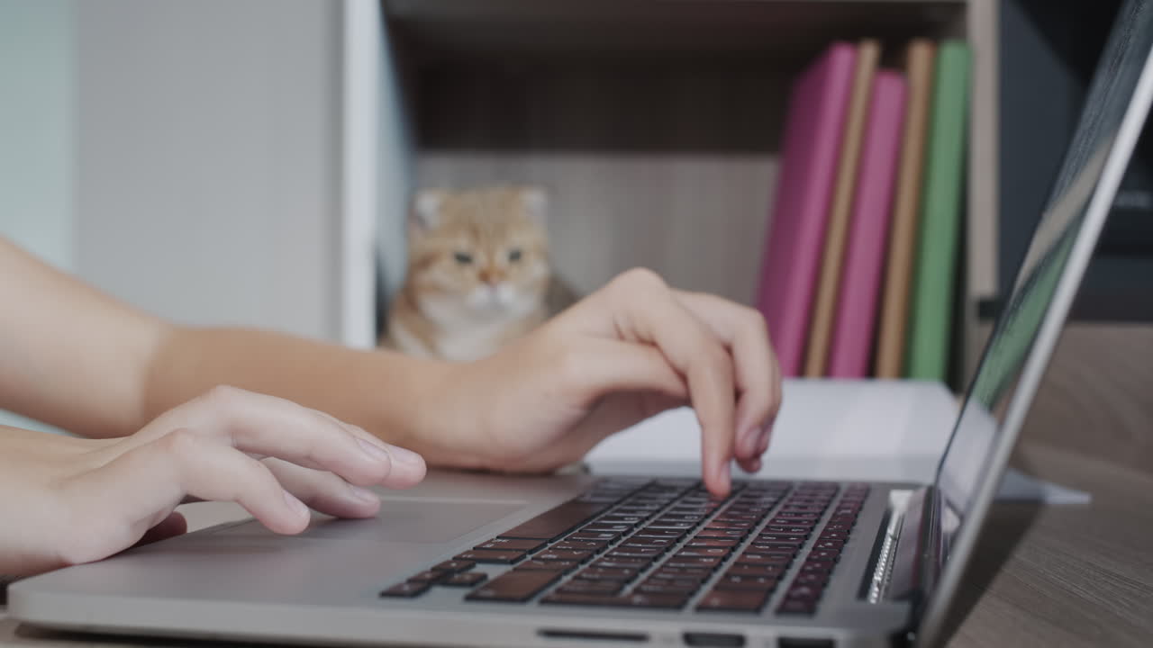 The child's hands are typing text on a laptop keyboard. In the background, a ginger cat