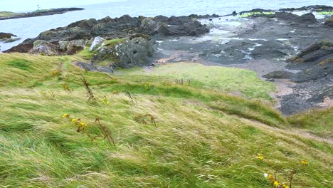 waves crash on rocky shore in fife, scotland