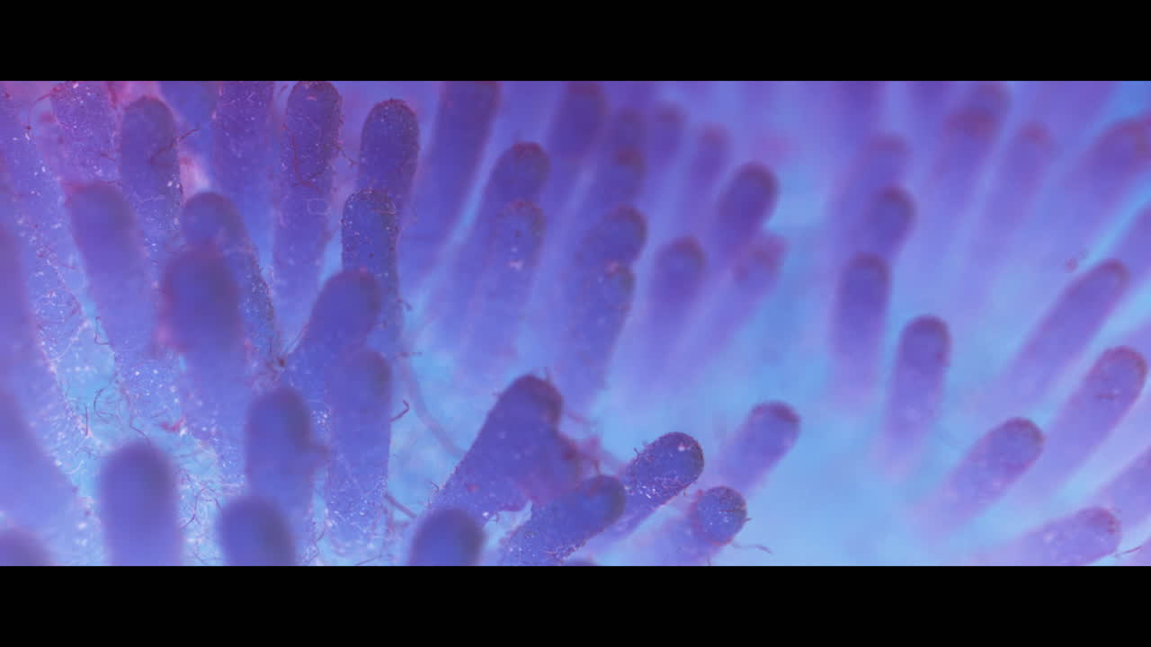 Close-up view of a sponge-like material at high magnification