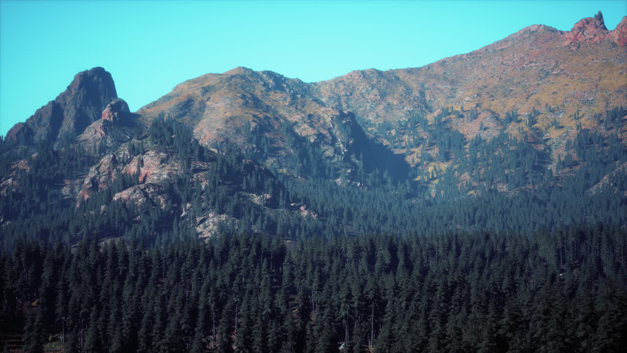 hermoso paisaje natural en el verano