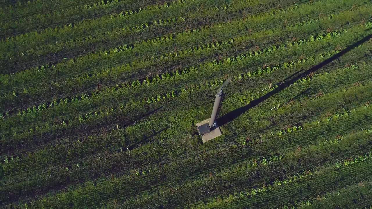 Aerial Orbit of a Lonely Turbine Among the Vineyard in Napa Valley