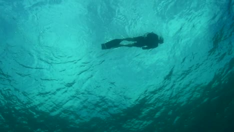 snorkeler lobster hunting