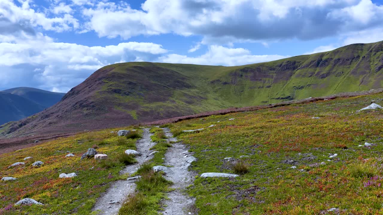 Camera moves forward on heather-lined mountain trail, bright daylight, scenic highland landscape, wide view