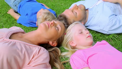 a family lies head to head in grass while sleeping before the daughter begins to move