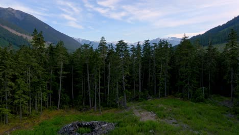 Bosques-Densos-Y-Caminos-De-Montaña-A-Lo-Largo-De-La-Ruta-De-La-Autopista