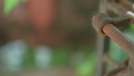 close-up of rusted metal with blurred background