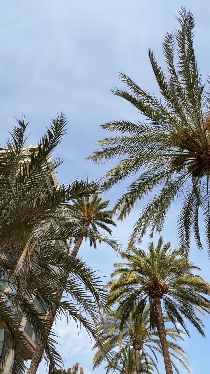 Palm trees and building against a blue sky