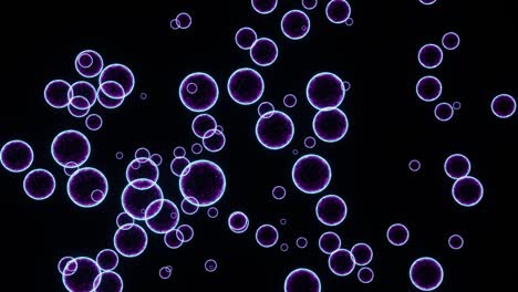 volando partículas cargadas energéticamente de bolas transparentes sobre un fondo negro. animación de bucle vj para sus hermosos videos.