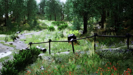 nature path invites exploration among vibrant flowers and lush greenery
