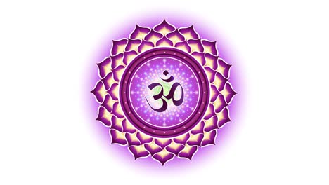 el sahasrara-chakra