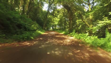 drone footage of peaceful countryside