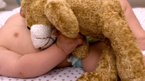 baby lying in crib sucking soother holding teddy