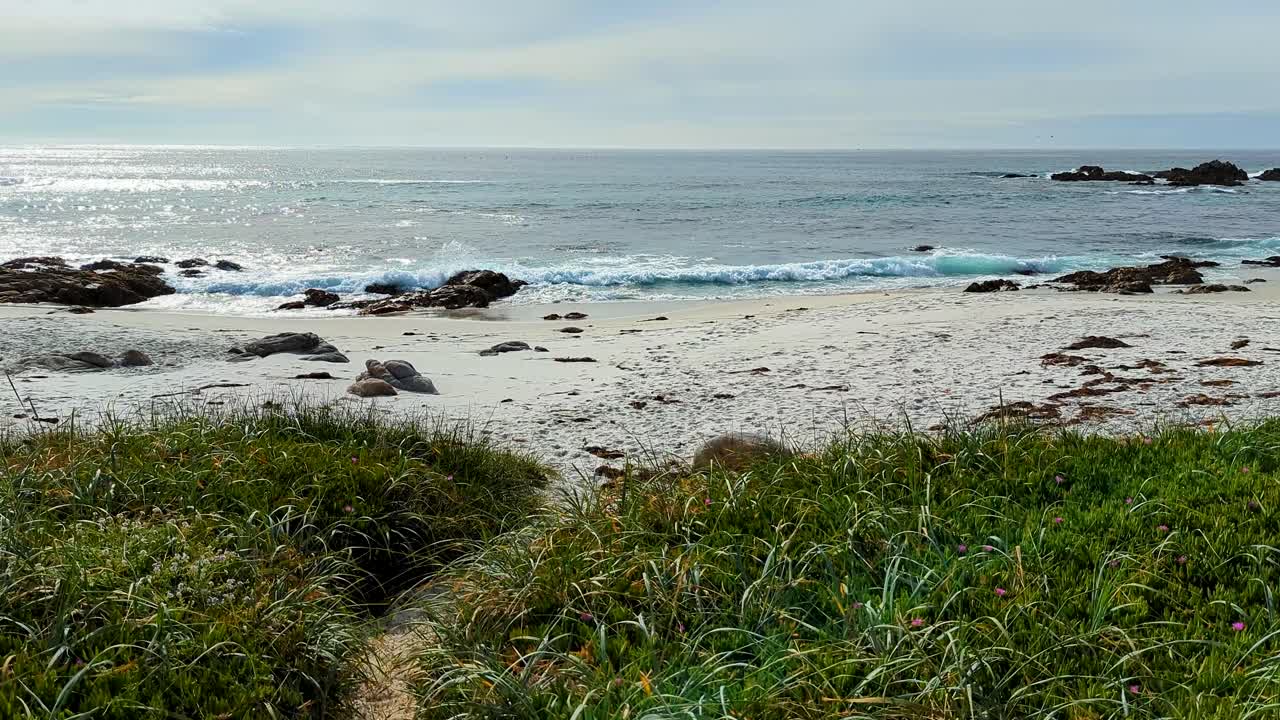 Blue ocean with white sand and grass at Monterey Beach, 17 mile Drive Spanish bay in Monetery, California. Blue ocean waves hitting rocks at Seal Rock Beach