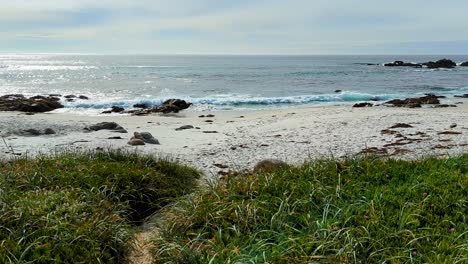 blue ocean with white sand and grass at monterey beach, 17 mile drive spanish bay in monetery, california. blue ocean waves hitting rocks at seal rock beach
