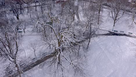 drone camera pointing down and moving up on a beautiful residential neighbourhood in montreal's winter