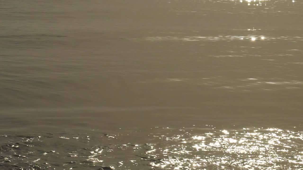 새벽에 잔잔한 바다에 햇빛을 반사하는 반짝이는 은빛 파도, 추상적