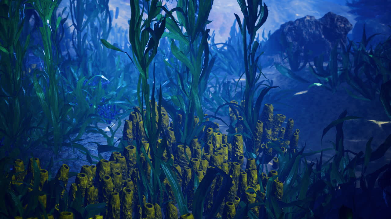 Underwater life with vibrant seaweed and colorful marine sponges at sunset