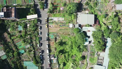 urban farming plots amidst buildings and parked cars in taiwan, bright day, aerial view