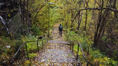 escena del campo de otoño, caminante descendiendo escalones cerca de la cascada