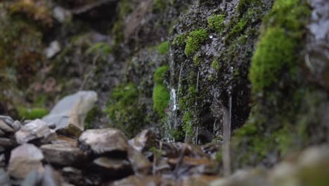 Filmisches-Bild-Eines-Kleinen-Baches,-Der-Durch-Das-Tauwetter-Der-Berge-Entstanden-Ist