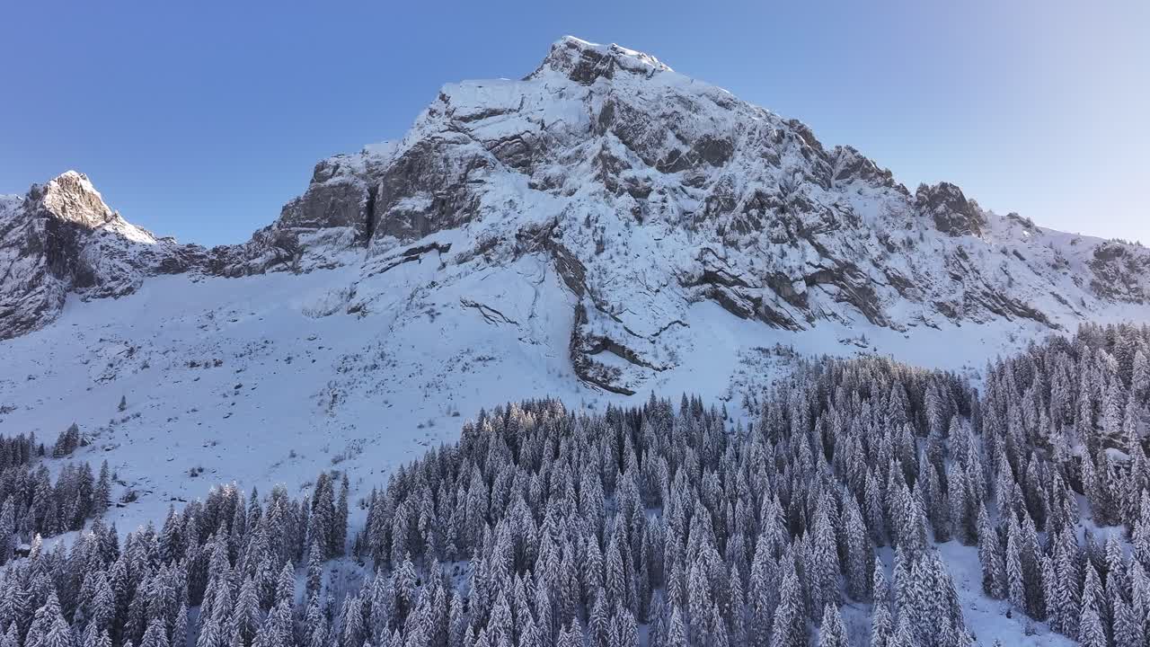 Snowy forest and dramatic mountain under a clear blue sky, serene and majestic view