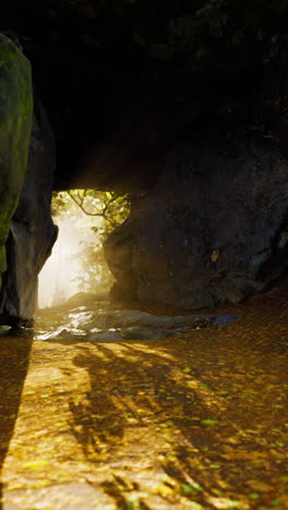 sunlight filtering through a cave entrance in a forest