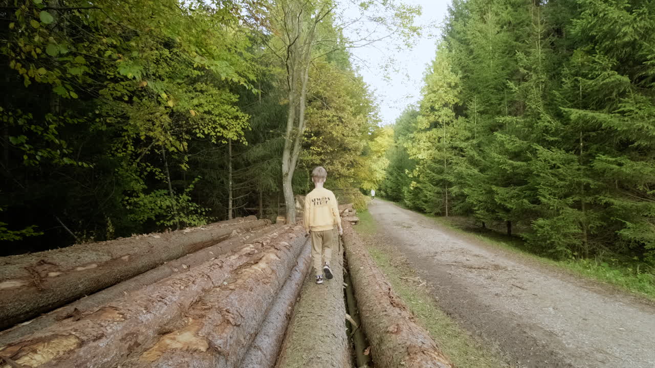 Follow a boy's poignant journey through a forest marked by cut-down trees