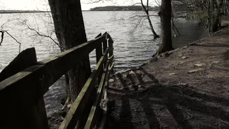 timelapse of lake on the edge of a forest-1