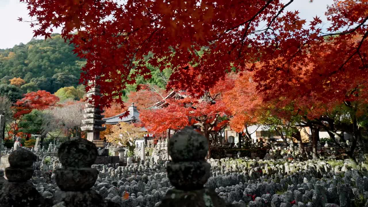 A serene temple in Arashiyama, Kyoto, framed by autumn foliage that is just beginning to fall.