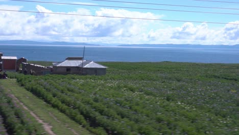 이슬라 델 솔(isla del sol)의 농업 분야를 지나 여행하는 모습