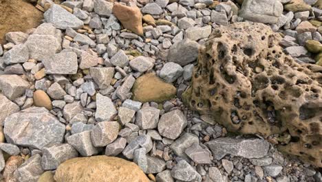 guijarros y arenisca erosionada en una playa de melbourne