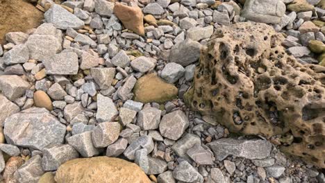 pebbles and eroded sandstone on a melbourne beach