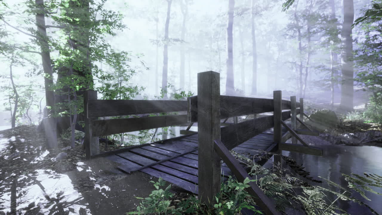 Ponte nella foresta nebbiosa circondato da una vegetazione lussureggiante durante il crepuscolo mattutino