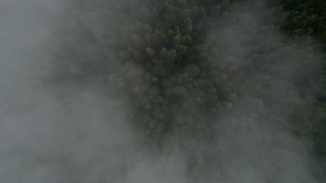 보스니아 숲 위 의 극적 인 구름 과 안개 의 공중 사진