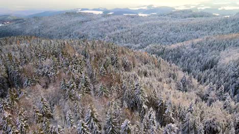 Aerial-view-on-the-snow-mountains-in-winter