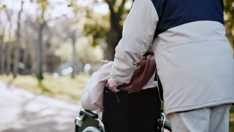 senior, couple and wheelchair with back in park