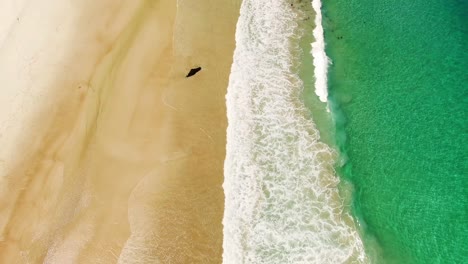 Antena-De-Hermosa-Playa