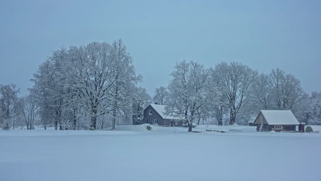 Todo-El-Año,-Otoño,-Invierno,-Primavera,-Verano-Larga-Duración-Campo-Granja-Lapso-De-Tiempo-De-Estaciones