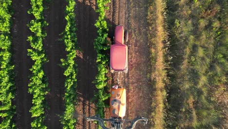 Drohnenansicht-Von-Oben:-Die-Schädlichen-Auswirkungen-Giftiger-Pestizide,-Die-In-Französischen-Weinbergen-Verwendet-Werden,-Beschränken-Sich-Nicht-Nur-Auf-Die-Unmittelbare-Umwelt,-Sondern-Können-Auch-Zu-Gesundheitsrisiken-Für-Diejenigen-Führen,-Die-Ihnen-Ausgesetzt-Sind